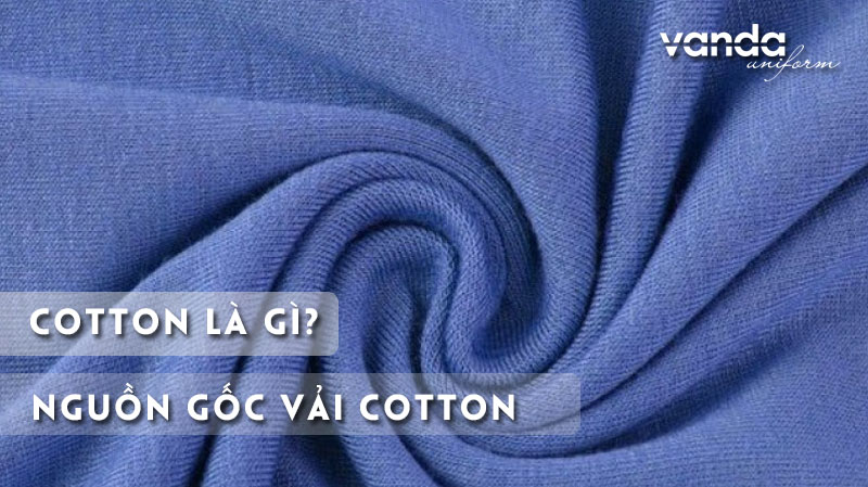 cotton-la-gi-bat-mi-nguon-goc-vai-cotton