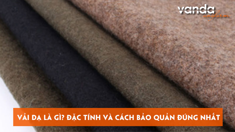 vai-da-la-gi-tim-hieu-dac-tinh-va-cach-bao-quan-dung-nhat-dongphucvanda