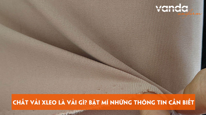 Chat-vai-xleo-la-vai-gi-bat-mi-nhung-thong-tin-can-biet-dongphucvanda