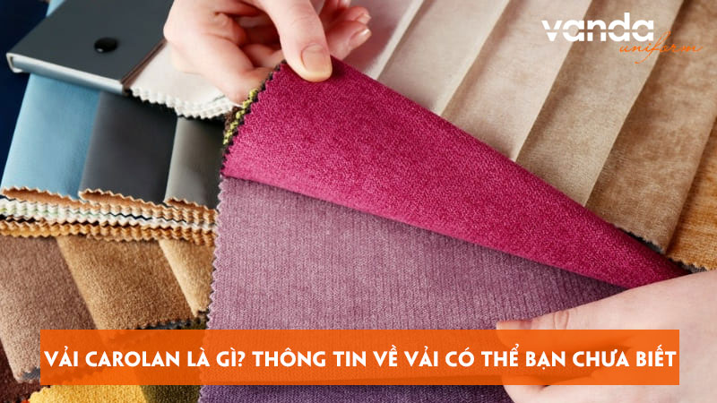 Vai-carolan-la-gi-thong-tin-ve-vai-co-the-ban-chua-biet-dongphucvanda