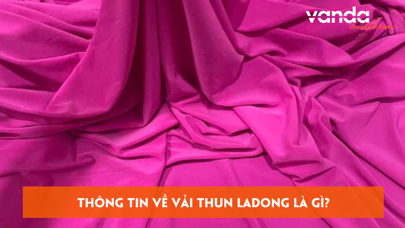 Thong-tin-ve-vai-thun-ladong-la-gi-co-the-ban-chua-biet-dongphucvanda