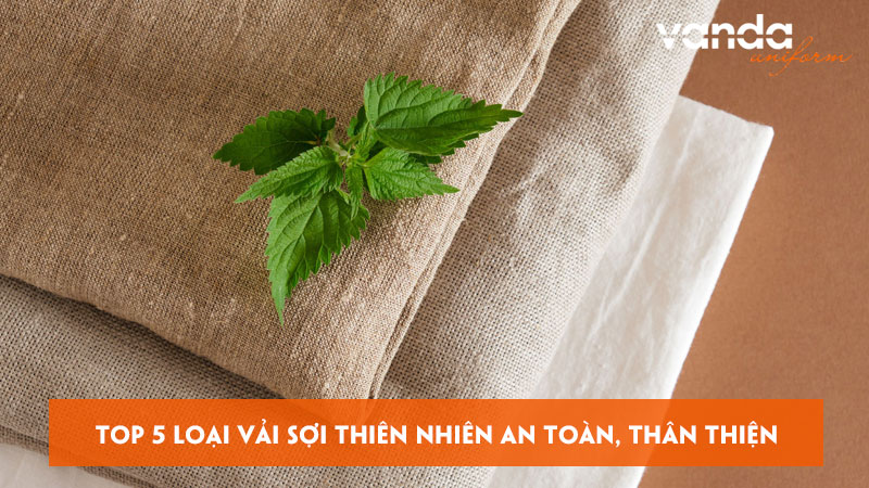 Top-5-loai-vai-soi-thien-nhien-an-toan-than-thien-dongphucvanda