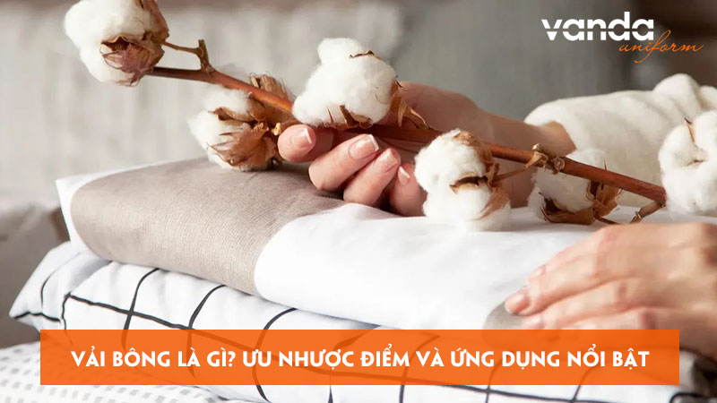 Vai-bong-la-gi-uu-nhuoc-diem-va-ung-dung-noi-bat-dongphucvanda