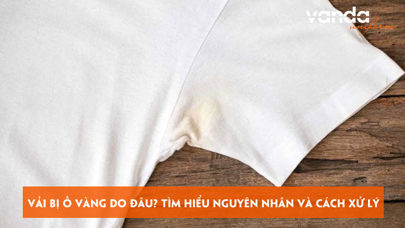 Vai-bi-o-vang-do-dau-tim-hieu-nguyen-nhan-va-cach-xu-ly-dongphucvanda