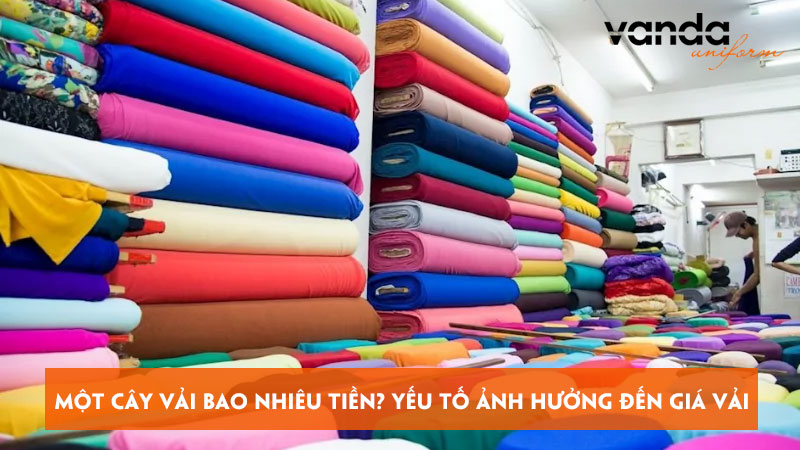 Mot-cay-vai-bao-nhieu-tien-nhung-yeu-to-anh-huong-den-gia-vai-dongphucvanda