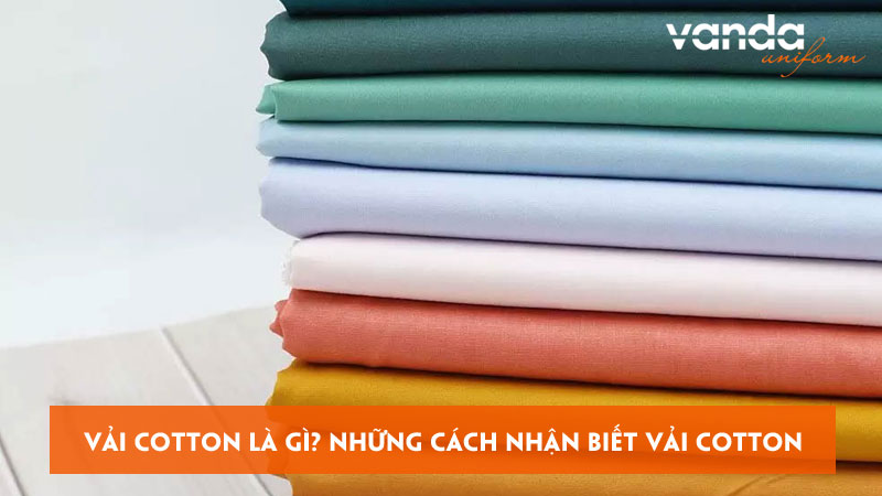 Vai-cotton-la-gi-nhung-cach-nhan-biet-vai-cotton-dongphucvanda
