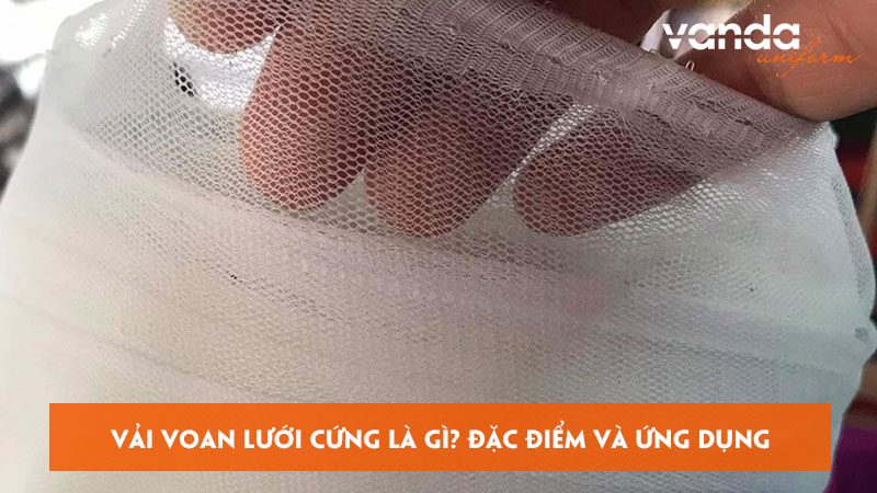 Vai-voan-luoi-cung-la-gi-dac-diem-va-ung-dung-pho-bien-hien-nay-dongphucvanda