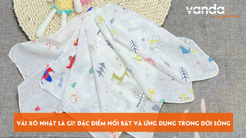Vai-xo-nhat-la-gi-dac-diem-noi-bat-va-ung-dung-trong-doi-song-dongphucvanda
