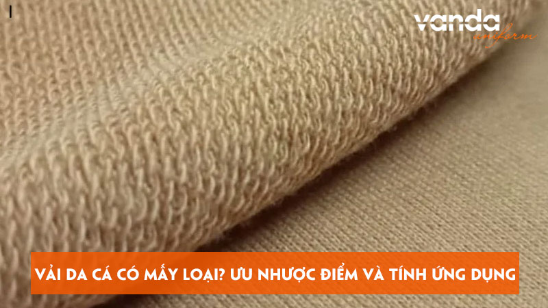 Vai-da-ca-co-may-loai-uu-nhuoc-diem-va-tinh-ung-dung-cua-vai-dongphucvanda