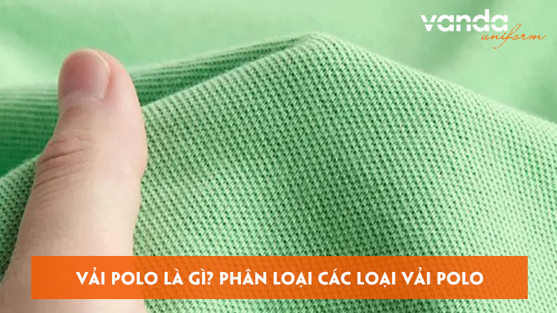 Vai-polo-la-gi-phan-loai-cac-loai-vai-polo-hien-nay-dongphucvanda
